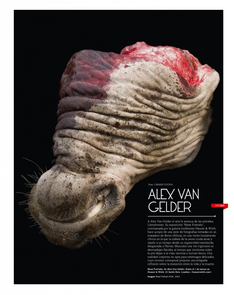 Alex Van Gelder-Neo2-Febrero 2014-page-001